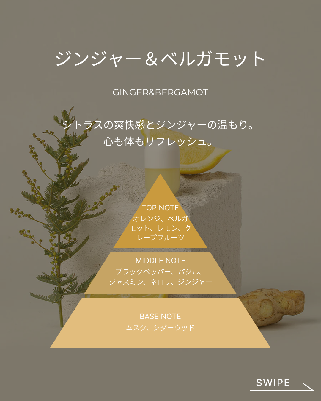 SHIFTビタミンカプセルアロマセラピーシャワーセット